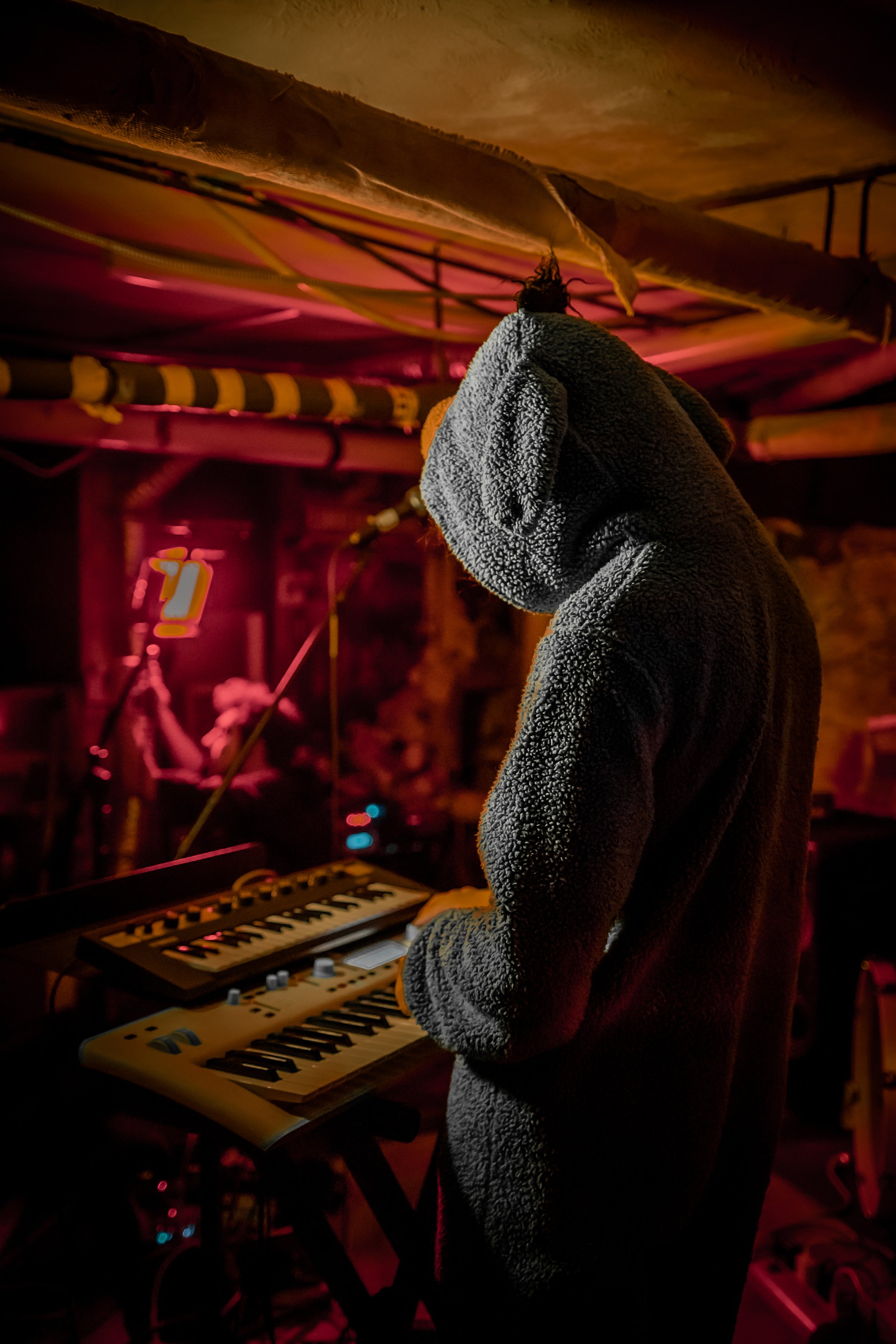 yamster-01.jpg