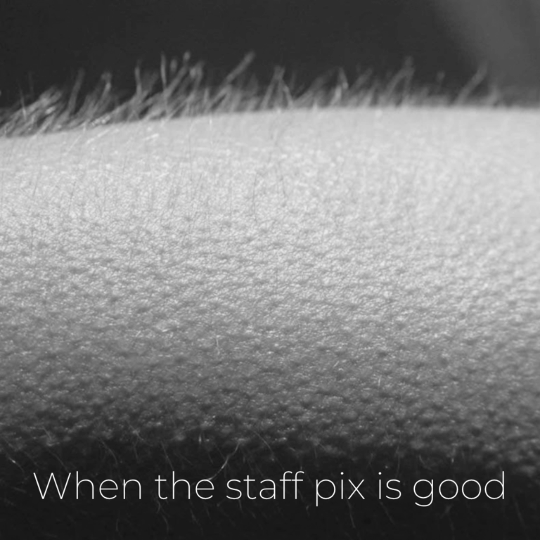 STAFF PIX 10/31: CHILLS!