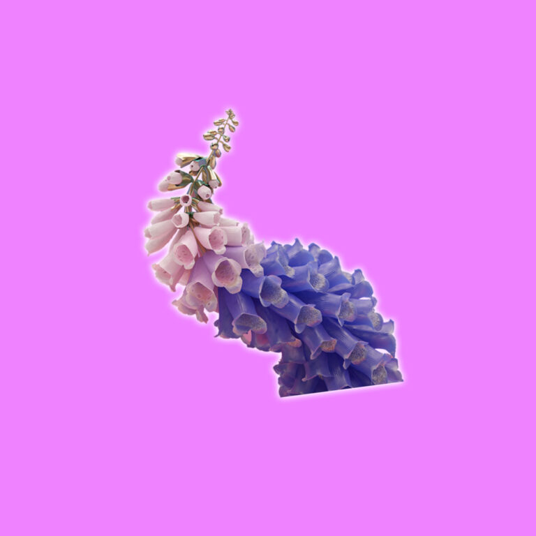 The Art of Flumestep