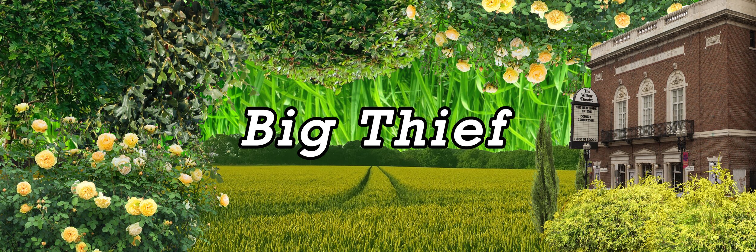 Artwork by Mateo Rispoli