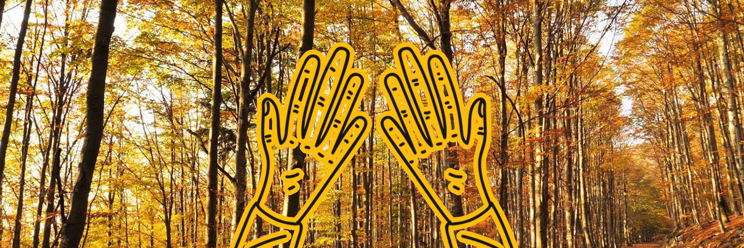 Two Hands.jpg