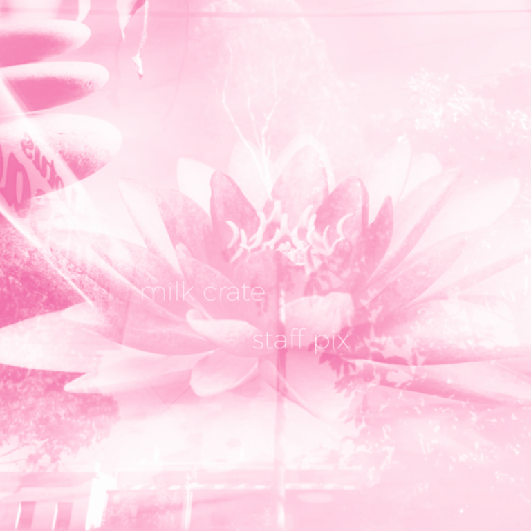 STAFF PIX 11/14: Calm