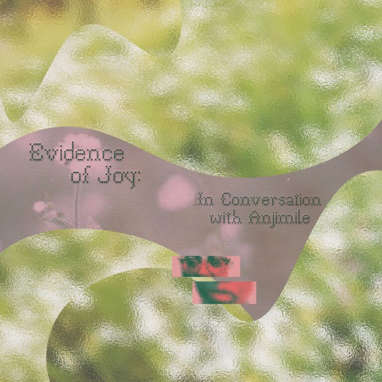 Evidence of Joy: In Conversation with Anjimile