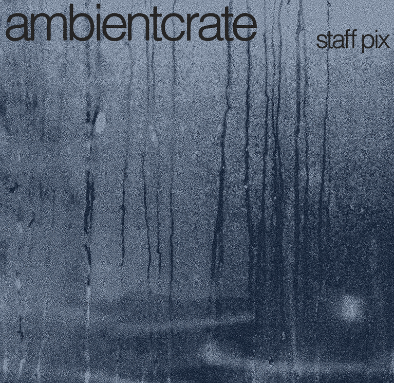 Staff Pix 10/16: Ambient